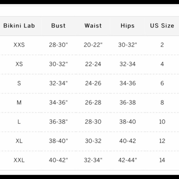 The Bikini Lab ombré Swim Bikini Bottoms - Picture 5 of 5